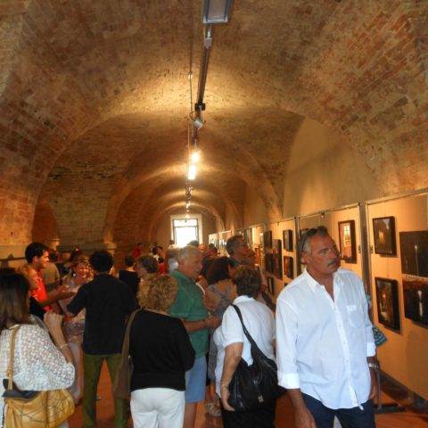 (FTUMostra Allievi 2014)