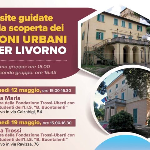 (dono per livorno locandina)